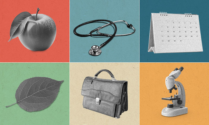 An apple, stethoscope, calendar, leaf, briefcase, and microscope that represent jobs that help people in your community 